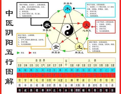 中醫五行歸類表|臺北榮民總醫院傳統醫學部